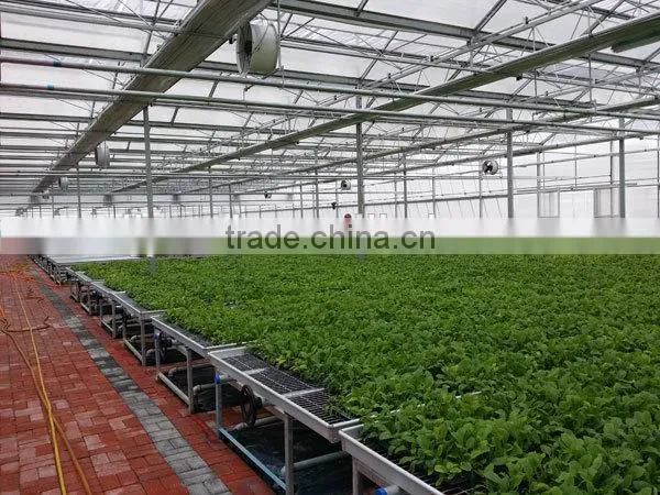 Multi-layer Greenhouse Bench photo-2