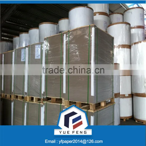 Factory Sale Two Side White Paperboard for Packing