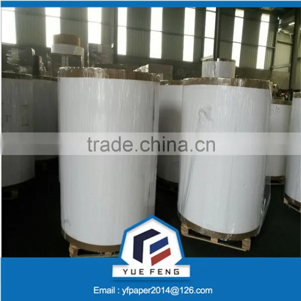 Excellent Two Side White Clay Coated Triplex Board in Rolls