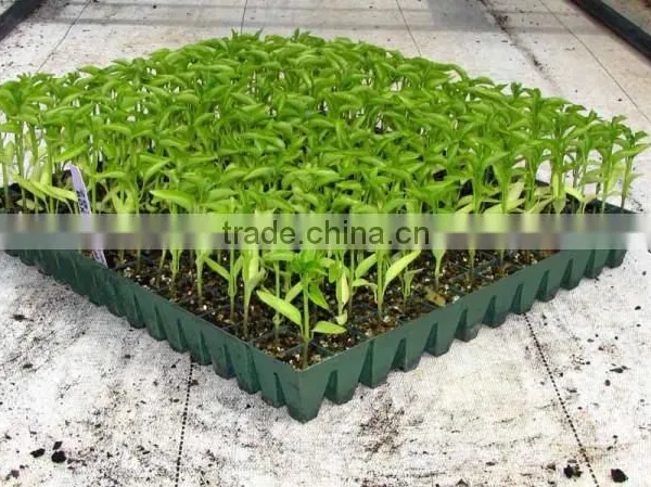 Peat Briquettes