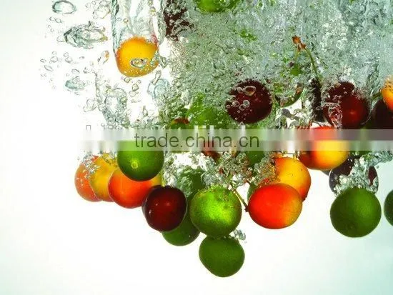 Factory Supply Directly Potato Washing Machine For Food Industry photo-4