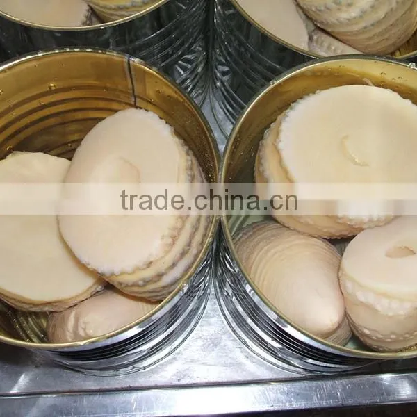 Canned Water Bamboo Shoot 2950gram N.W photo-3