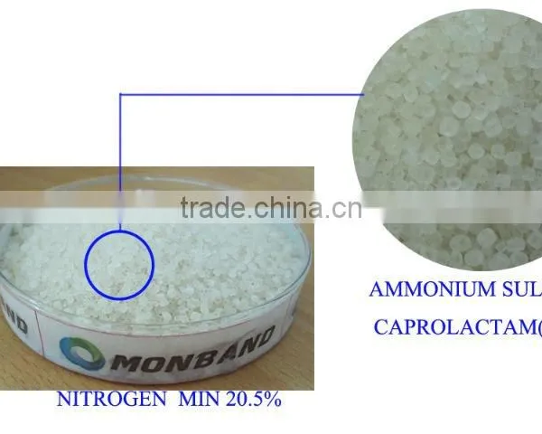 Ammonium Sulfate Caprolactam