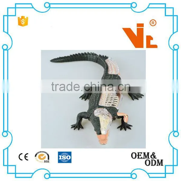 V-AM053 4D MASTER Crocodile Specimen Anatomical Model With Organ Skeleton photo-4