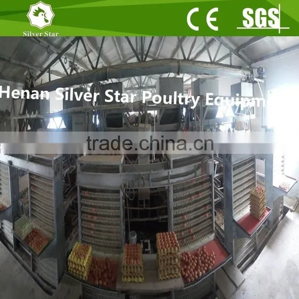 Automatic Chicken Egg Collecting Machine for Farm photo-4