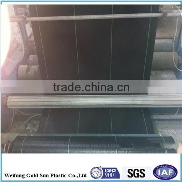 China Factory Supply Water Trough Plastic Wheat Grass Mat pp Greenhouse Ground Cover