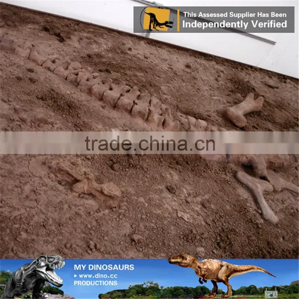 MY Dino-C092 Simulation Dinosaur Fossil Specimens for Sale photo-6