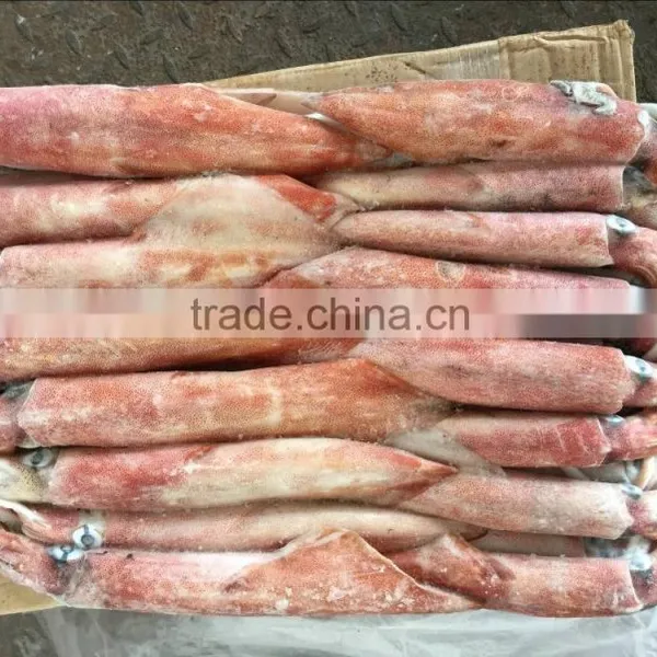 2016 High Quality Frozen China Loligo Whole Round