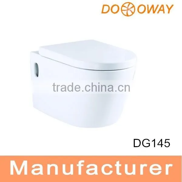 European Bathroom Wall Hung Toilet Parts DG145
