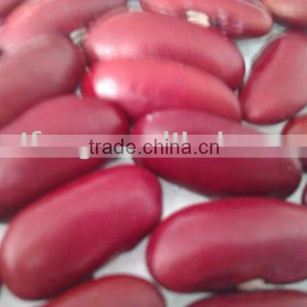Red Kidney Bean( 2013 Crop, Heilongjiang Origin, Hps)
