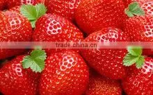 FRESH STRAWBERRY photo-2