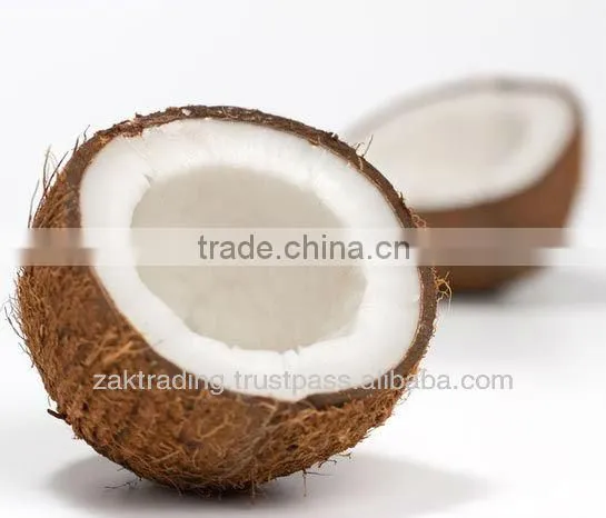 Fresh Mature Coconut