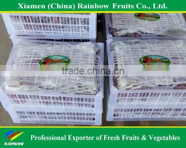 Globe Price Of Chinese Fresh Red Globe Grape photo-2