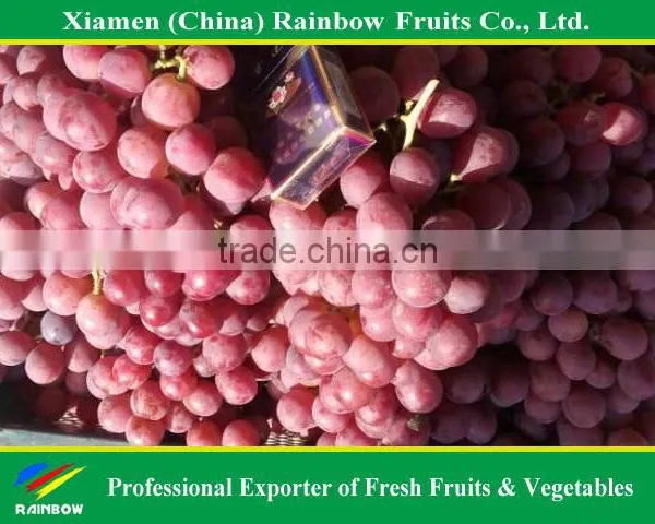 Fresh Red Globe Grape From Yunnan Xinjiang China photo-2