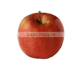 Fuji Apples