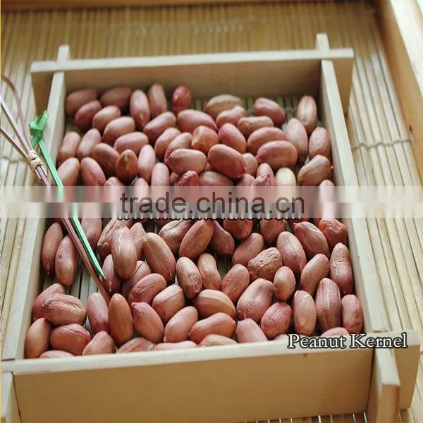 Peanut Kernel photo-5