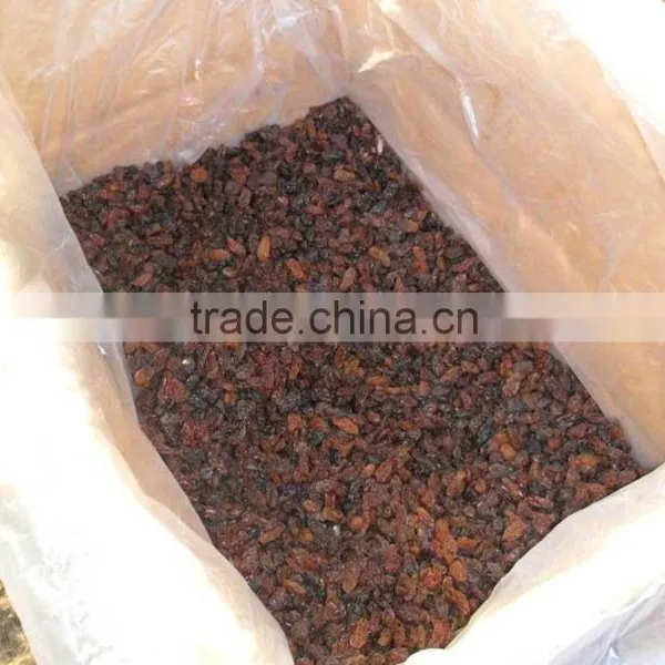 GOOD QUALITY INDUSTRIAL RAISIN BEST RATE photo-4