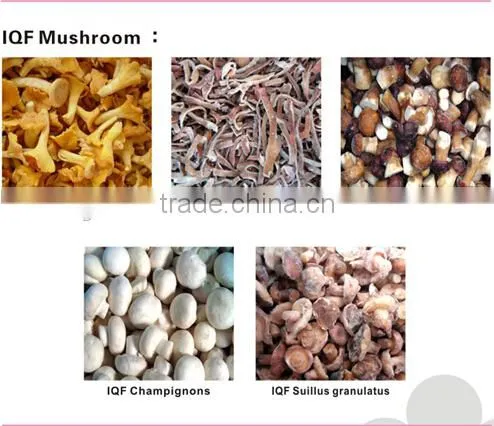 China Good Price Frozen Summer Truffle 2015 photo-5