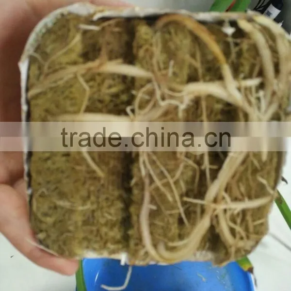 Other Heat Insulation Materials Agricultural Rock Wool Cube With Density 70kg/m3 photo-2