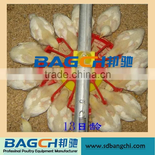Complete Automatic Poultry Feeding Troughs for Broiler photo-5