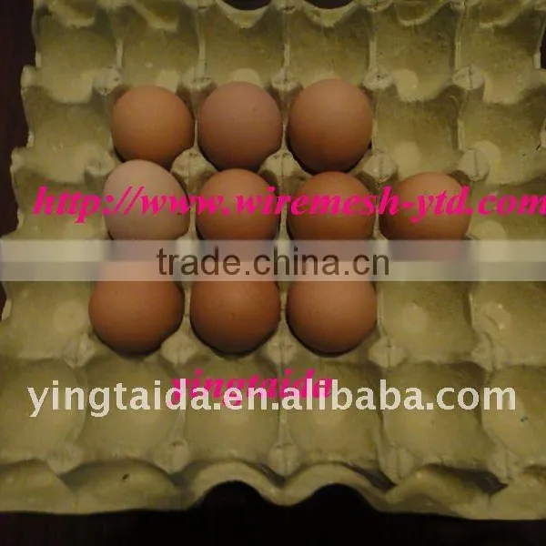 Paper Pulp Egg Tray