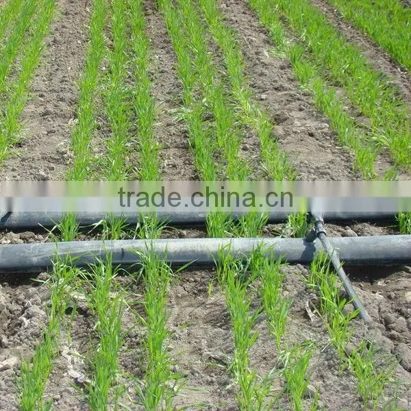 The Trunk Pipeline Water Transport Pipe photo-3