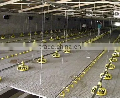 Chickens Plastic Flooring\poultry Plastic Slat Floor