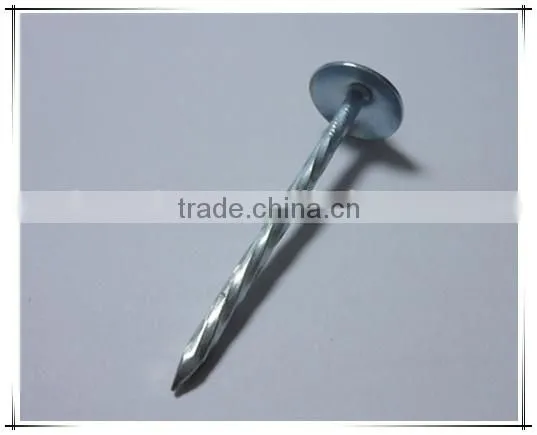Large Head Roofing Nail China Nail Factory Price From China photo-3