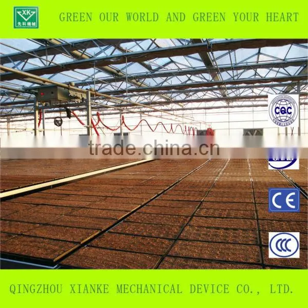 Agricultural Polycarbonate Sheet Greenhouse for Sale photo-2