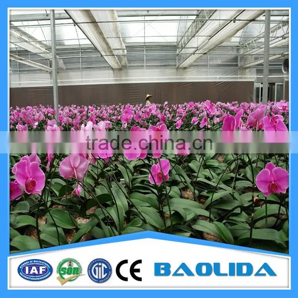 Agricultural Used Greenhouse Sale photo-5