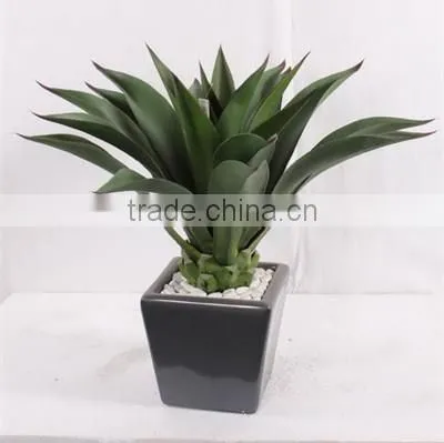 Factory Wholesale Fake Sanseviera Plant/agave Bonsai Plant Tree photo-5