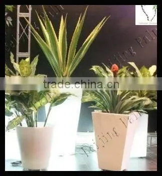 Plastic Pot Light Pot