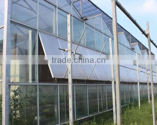 Large Multi-span Glass Green House Agriculture for Farming photo-3