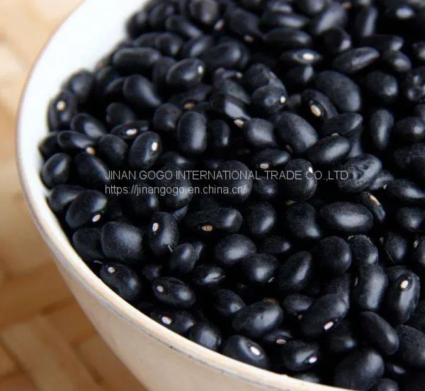 Bean