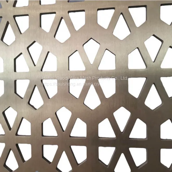 Professional Micron Mesh Perforated Steel Mesh Sheet photo-2