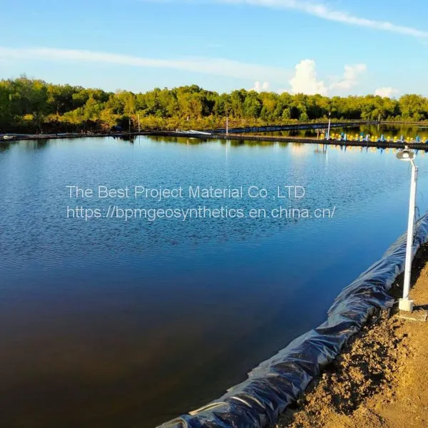 HDPE Geomembrane for Fish Farm Pond in UK photo-2