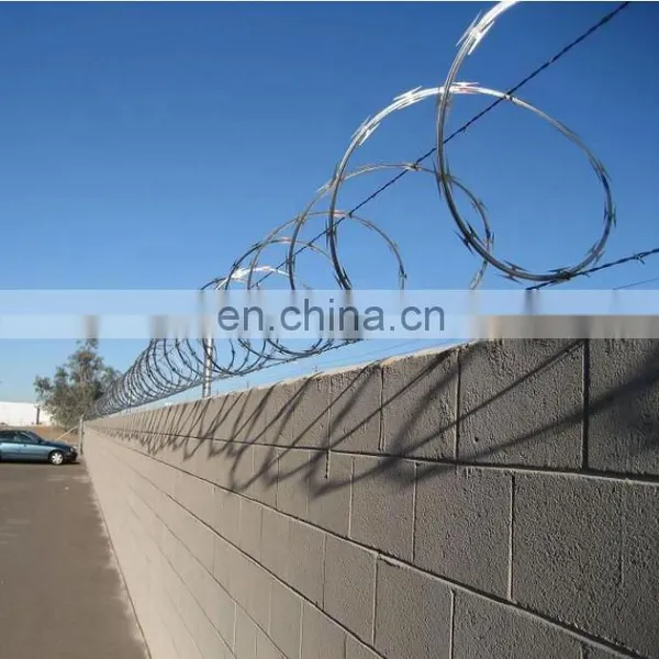 Cheap Hot Dipped Razor Barbed Wire Used in Airports Low Price photo-5