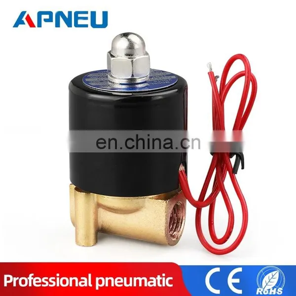 Valves Water Solenoid Valve for Water Pneumatic Valve 220V 12V DN08 DN10 DN15 DN20 DN25 1/4