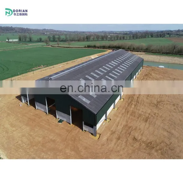 Prefabricated Galvanised Steel Portal Frame Cow Sheds House for Chicken photo-3