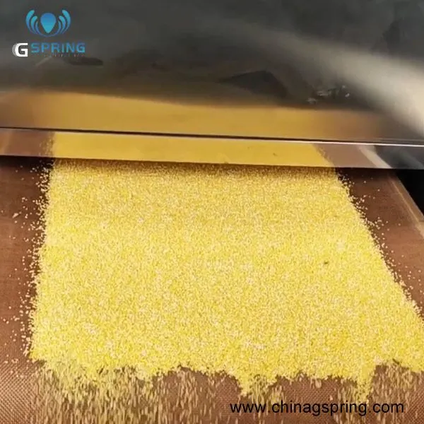 Low Energy Industrial Microwave Drying Machine for Corn Bean Grain Agricultural Products photo-2