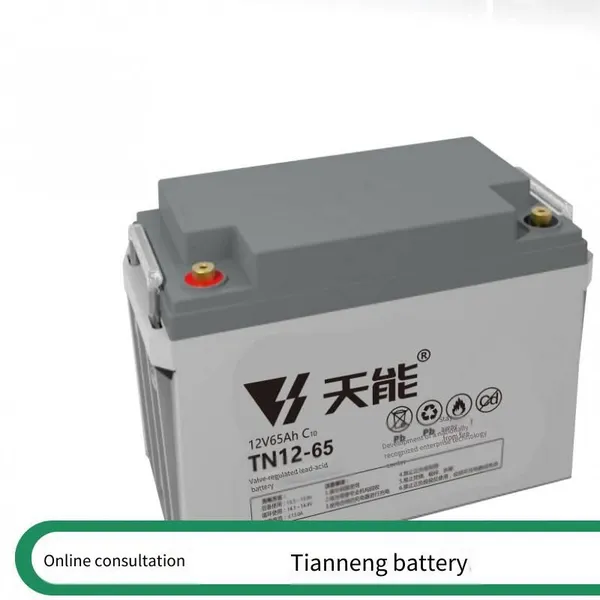 Tianneng Battery Tn12-38 Valve-regulated Lead-acid Battery 12v38ah for dc Power Panel