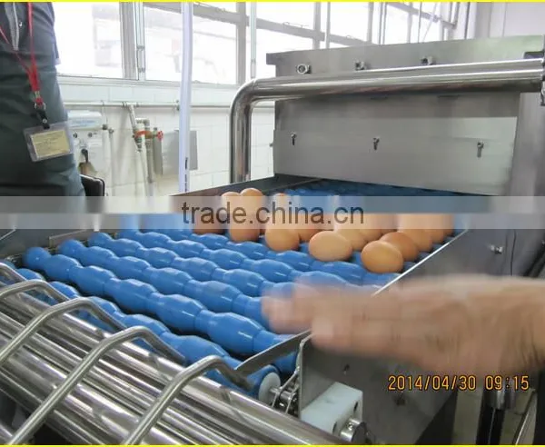 auto egg washing egg light testing machine , egg light checking machine