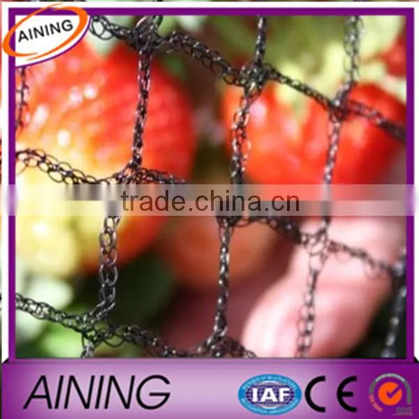Hot! Nylon Net To Catch Birds & HDPE Anti Bird Net photo-2