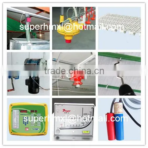 Automatic Poultry Farm Equipment for Chicken photo-4