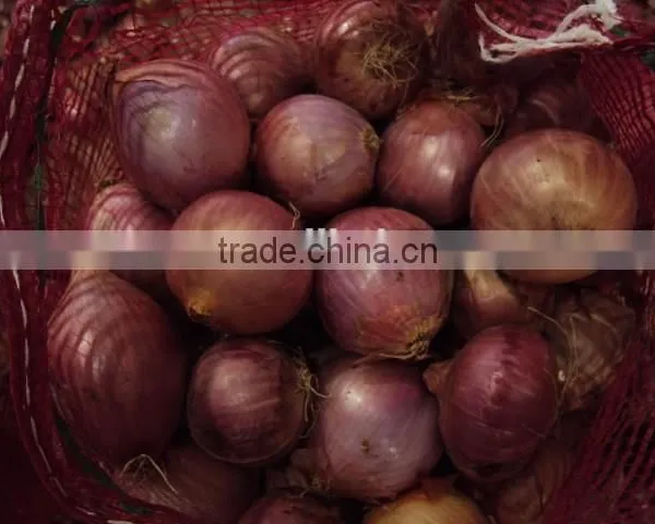 Fresh Onion Supplier Manufacturer