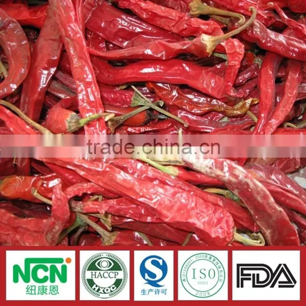 New Crop of Tianying Red Chilli photo-2