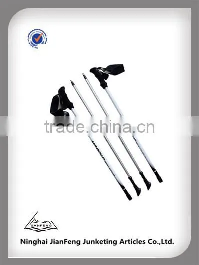 Carbon Nordic Walking Stick