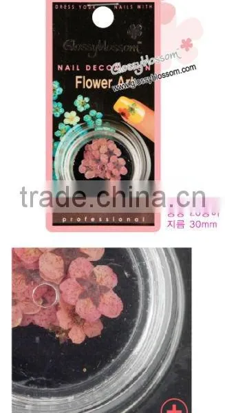 Nail Real Dried Flowers