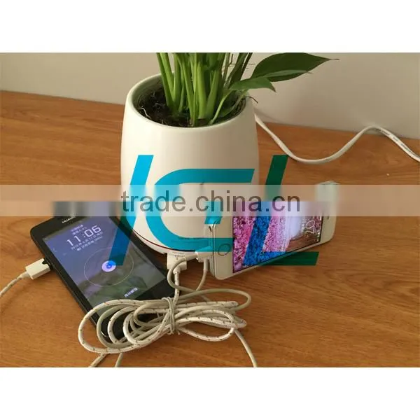 USB Charger Home Decoration Flowerpot Usb Socket With 2 Port Charging photo-5
