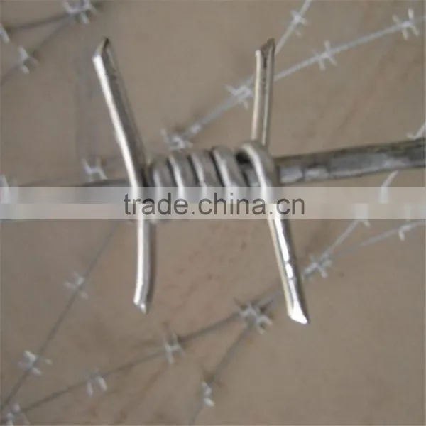 Double Reversed Twist Barbed Wire photo-6